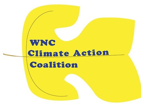 Triple-win Climate Solutions: What have we done?