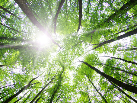 Green Community